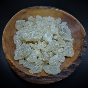 Java Copal - Shorea Javanica - Indonesia