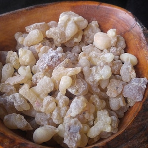 Sacra Frankincense Resin - Boswellia Sacra  - Oman