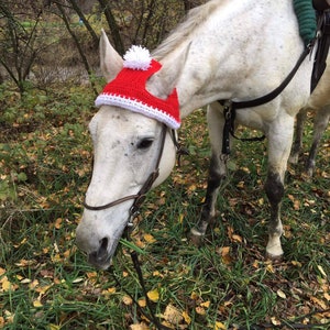 Crochet customizable hat for horse , horse beanie, donkey hat, pony hat cob beanie, pony hat fly beanie, hat for horse, BFF present