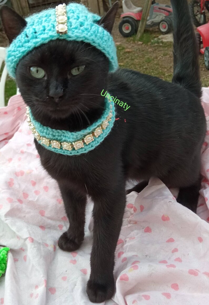Cappello Con Collare per Gatto O Cane Di Piccola Taglia | Etsy