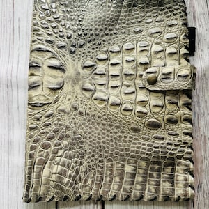 May include: A light brown leather journal with a crocodile skin pattern and a black snap closure.