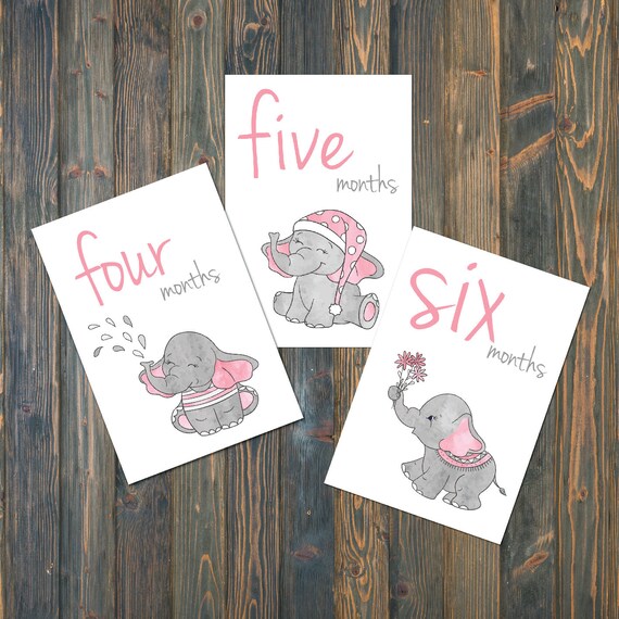 etsy milestone cards