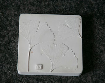 Decorative Botanical Impression Unique Wall Art: Ginkgo