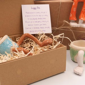 Puede incluir: Un "Leggy Pot" de cer&aacute;mica en una caja de cart&oacute;n con virutas de madera. La maceta tiene un dise&ntilde;o azul y blanco con patas marrones que se extienden. El texto en la tarjeta dice "Leggy Pot".