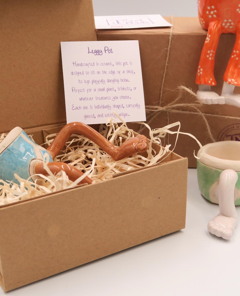 Puede incluir: Un "Leggy Pot" de cer&aacute;mica en una caja de cart&oacute;n con virutas de madera. La maceta tiene un dise&ntilde;o azul y blanco con patas marrones que se extienden. El texto en la tarjeta dice "Leggy Pot".
