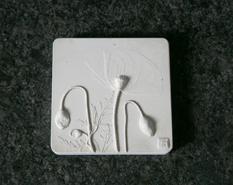 Decorative Botanical Impression Unique Wall Art: Poppy