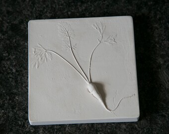 Decorative Botanical Impression Unique Wall Art: Carrot