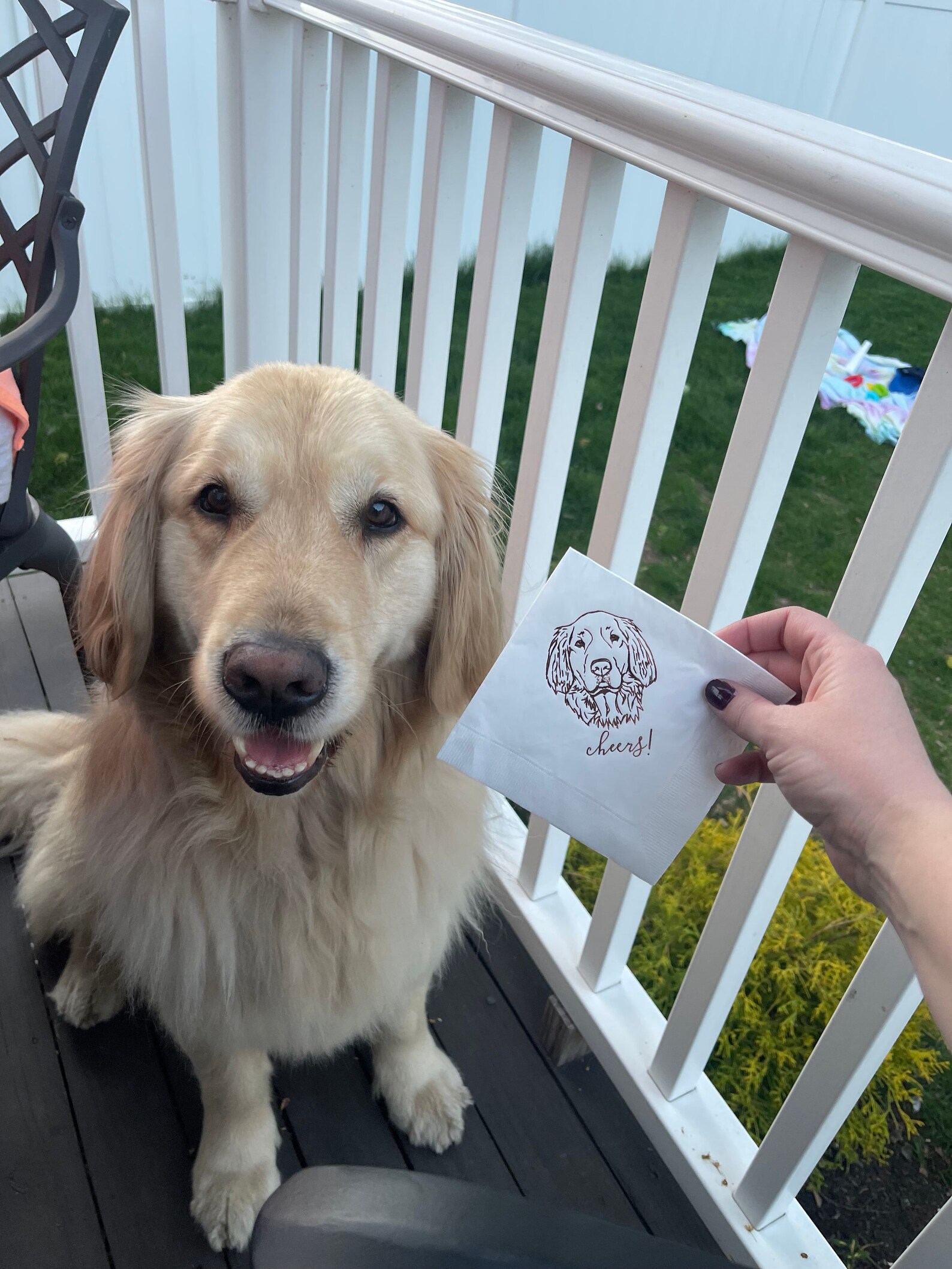 Dog Cocktail Napkins Dog Wedding Napkins Custom Pet Cocktail Etsy