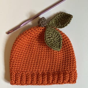 May include: A bright orange crocheted beanie with a ribbed brim, topped with a small brown stem and two textured olive green leaves, accompanied by a metallic purple crochet hook positioned diagonally above the hat on a plain surface.