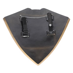 May include: Black shield with a gold trim and straps on the back. The shield has a metal stand attached to the back.