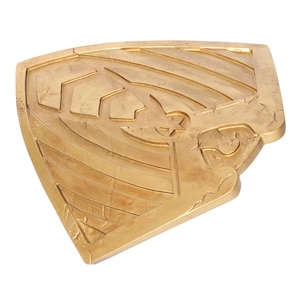 May include: A gold-colored shield with a star and a stylized design. The shield is made of a textured material and has a slightly worn look.