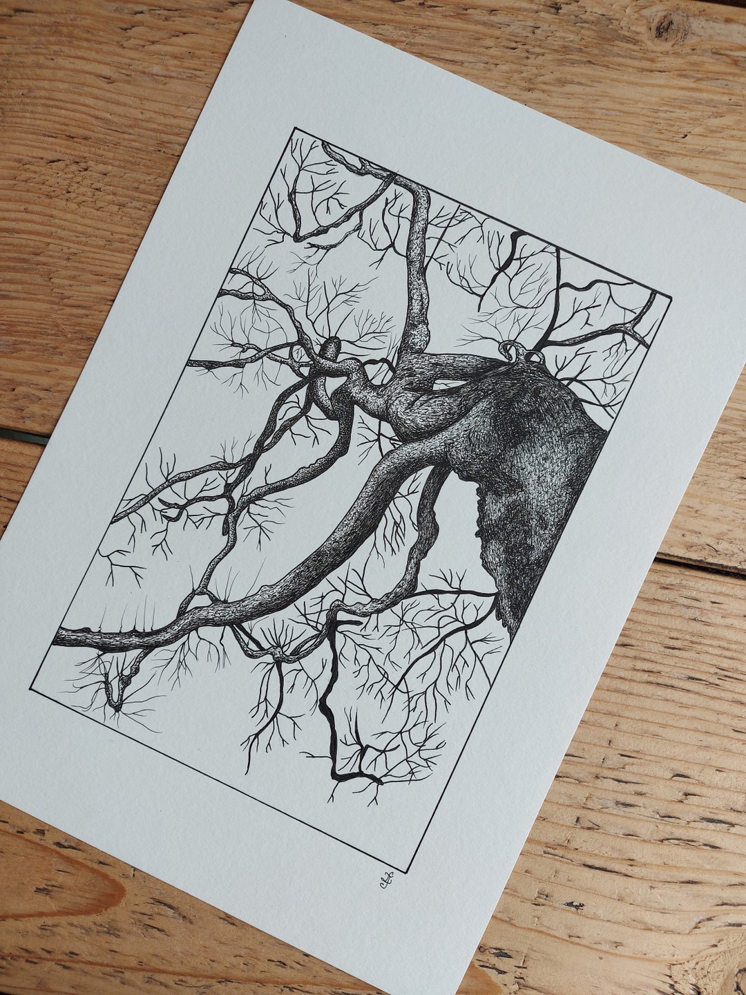 Original Tree Ink Drawing on Fabriano Paper - Etsy