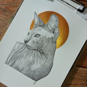 Don Sphynx