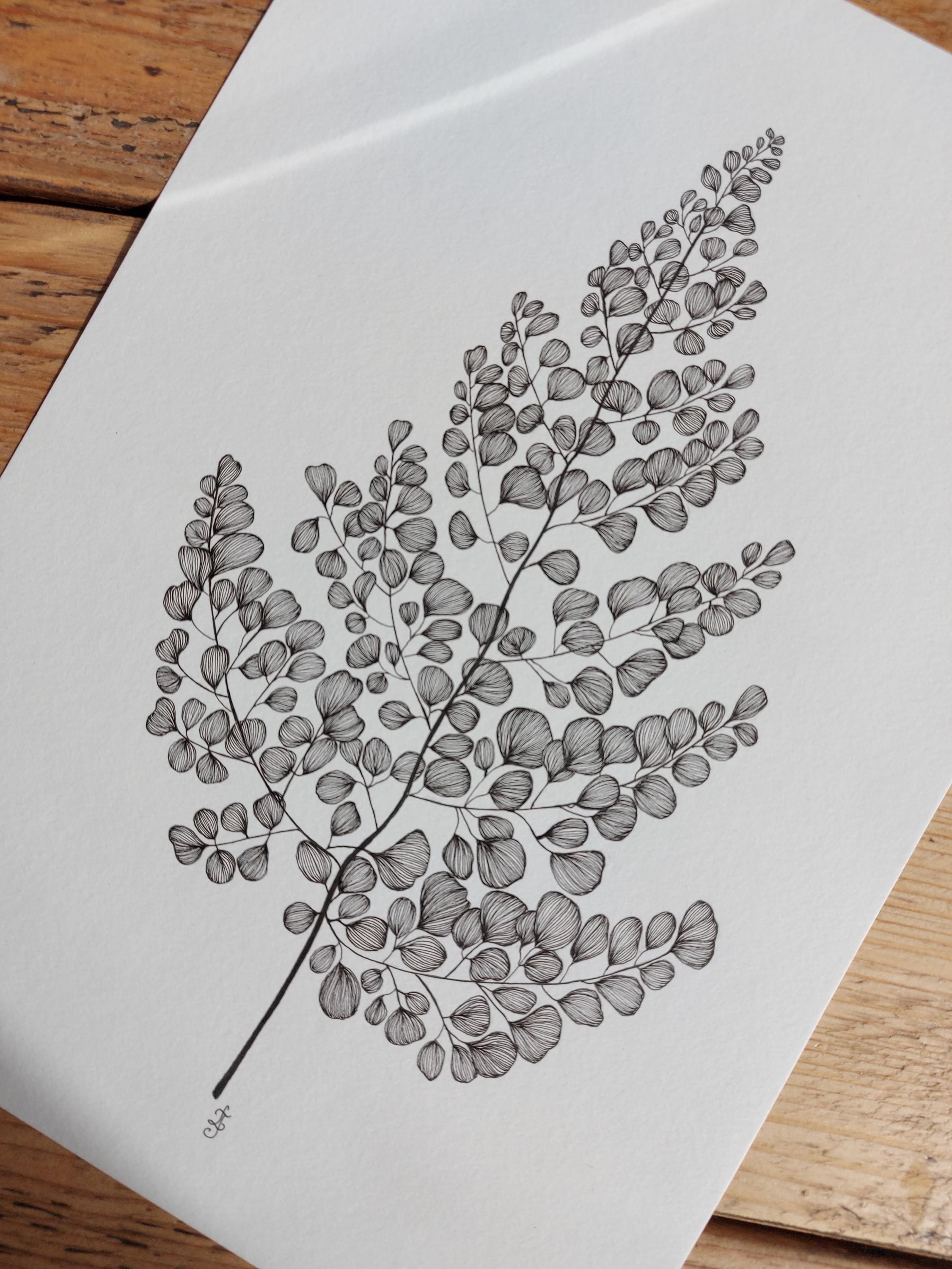 Fern Tattoo Meaning: Growth, Renewal \u0026 Resilience, image size:2250x2999