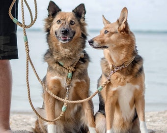 Doppelleine in verschiedenen Farben für kleine und große Hunde passend zu Halsband und Geschirr Pets&Partner® Hundeleine aus Nylon 