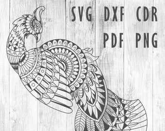 Download Peacock Svg Etsy