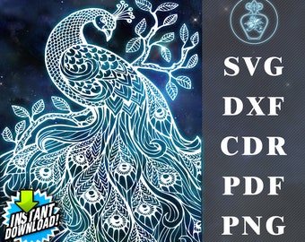 Download Peacock Svg Etsy