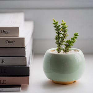 Mint Ceramic Succulent Pot, Handmade Mini Planter with Drainage, Small Cactus Pot, Gift for Mom, Spring Home Decor