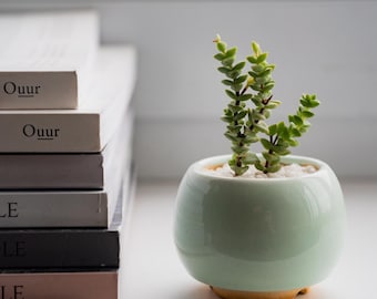 Mint Ceramic Succulent Pot, Handmade Mini Planter with Drainage, Small Cactus Pot, Gift for Mom, Spring Home Decor