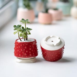 Red Bubble Ceramic Planter, Textured Mini Succulent Pot, Handmade Small Cactus Pot, Cute Desk Planter, Gift for Mom, Spring Home Decor