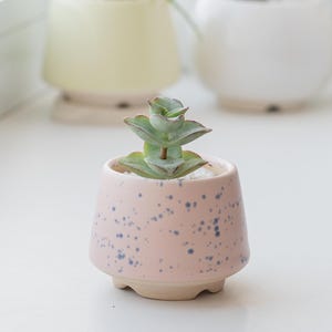 Blush Pink Speckled Ceramic Planter, Mini Succulent Pot, Handmade Small Cactus Pot, Cute Desk Planter, Gift for Mom, Spring Decor