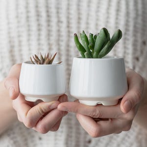 White Ceramic Planter with Teal Glaze, Mini Succulent or Cactus Pot, Handmade Small Planter with Drainage, Gift for Mom, Spring Home Decor