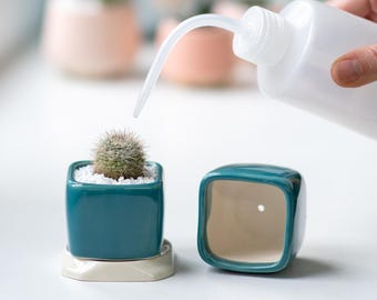 Turquoise Ceramic Succulent Planter, Handmade Mini Pot with Drainage, Cute Cactus Pot, Fall Home Decor, Autumn Gift for Mom