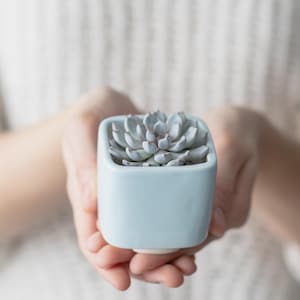 Light Blue Ceramic Succulent Planter, Handmade Mini Pot with Drainage, Gift for Mom, Spring Home Decor, Cute Cactus Pot
