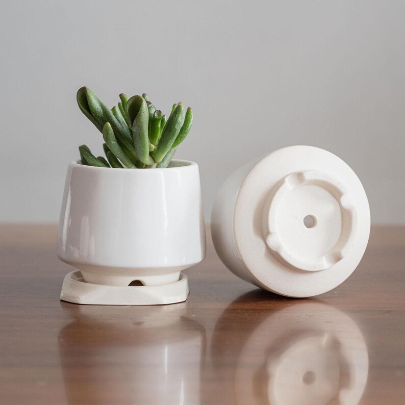 May include: Two white ceramic planters, one with a small succulent plant. The planter on the left has a drainage hole and a saucer. The planter on the right is upside down, showing the drainage hole.