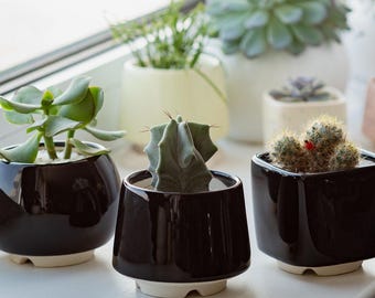 Black Ceramic Succulent Planter, Small Plant Pot with Drainage, Minimalist Home Decor, Gift for Him or Her, Mini Cactus Pot, Desk Planter
