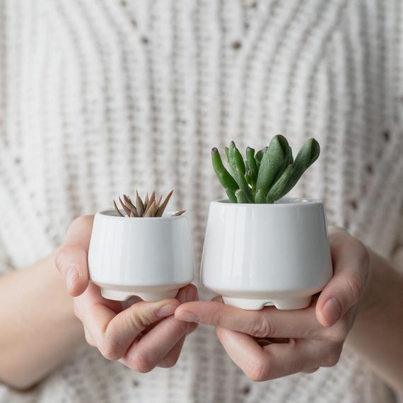 White Ceramic Planter with Teal Glaze, Mini Succulent or Cactus Pot, Handmade Small Planter with Drainage, Gift for Mom, Spring Home Decor