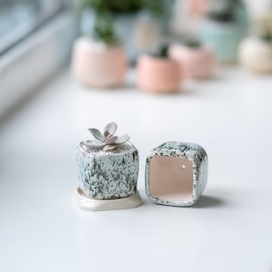 May include: Two small square ceramic planters with a speckled white and green glaze. One planter has a small succulent plant inside.