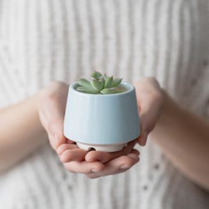 May include: A small light blue ceramic planter with a succulent plant inside. The planter has a white base and is being held in someone's hands.