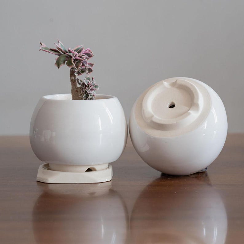 May include: Two white ceramic round planters, one with a small succulent plant. The planter with the plant has a white saucer underneath.