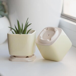 May include: Two pale yellow ceramic square planters with drainage holes. One planter has a small succulent plant inside. Both planters have a white saucer.