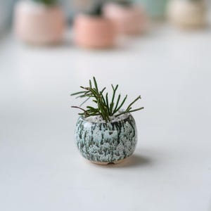 Marble Ceramic Round Mini Pot – Small Succulent Planter | Handmade Cactus Planter | Wedding Favor | Spring Decor | Mother&#39;s Day Gift