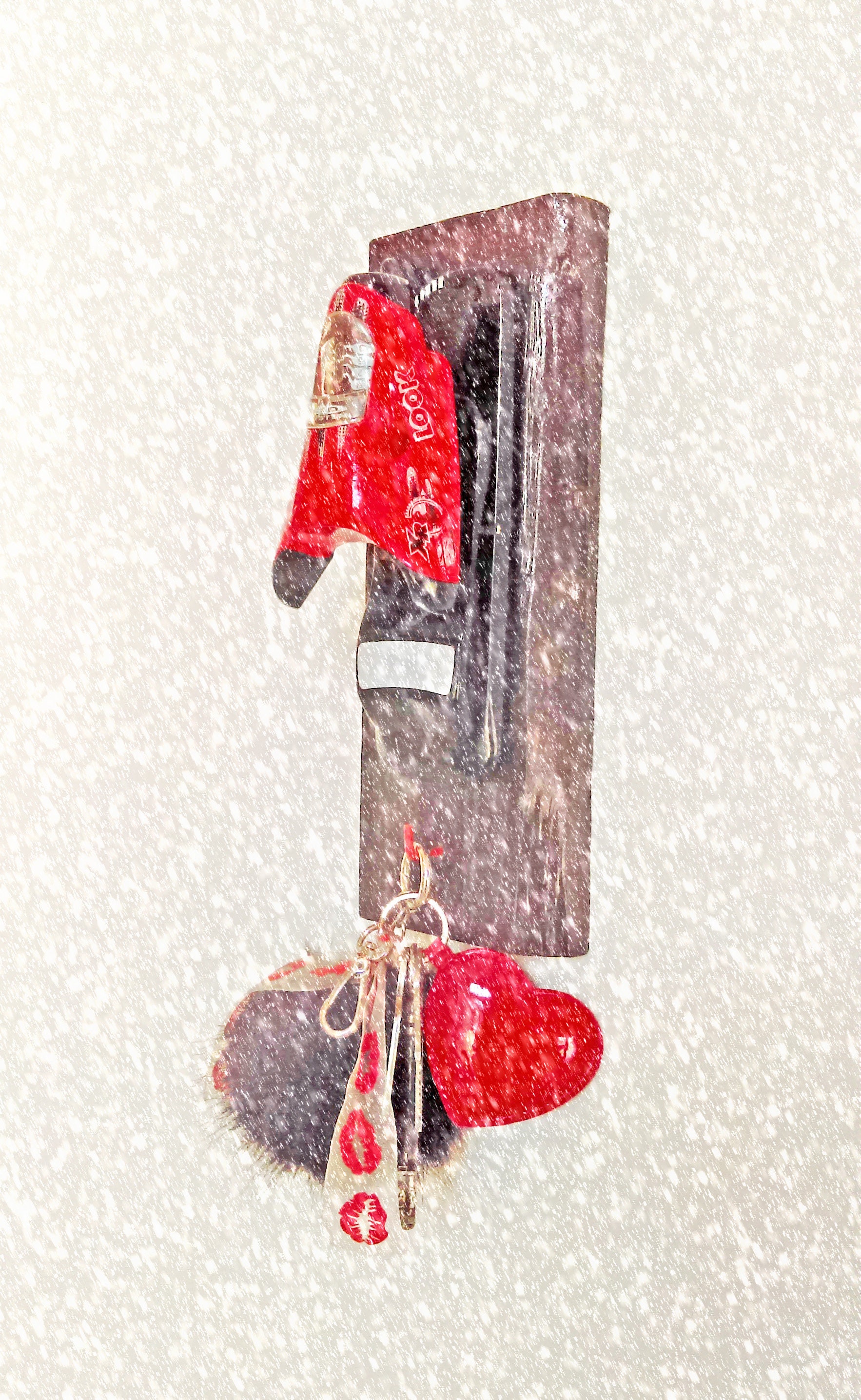 Porte-Manteau/Patère Vide -Poche Ski