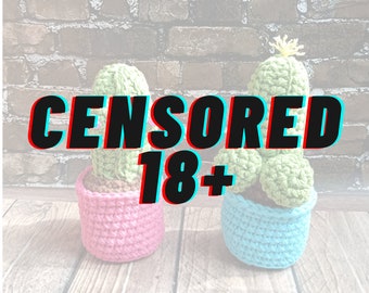 Cactus in a pot home decor Penis, boobs gift, Cute plants gift for friends, gift for coworker Pride month gift Cactus I can't kill