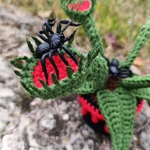 May include: A handmade crochet Venus flytrap with a black spider. The plant is green with red accents inside the trap. The spider is black and sits inside the open trap. The background is blurred.