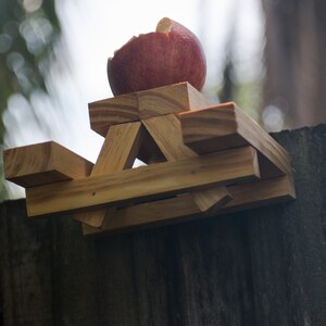 Squirrel Picnic Table