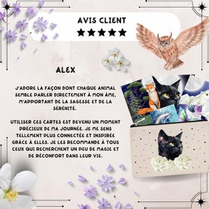 Cartes d'affirmations positives Animaux de Lumière - 32 cartes d'affirmations positives - Cartes artisanales faites main