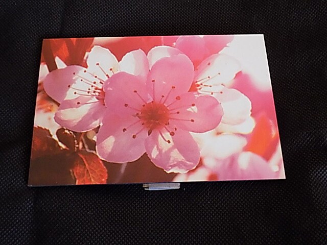 Fleurs d'été | Piéce Unique