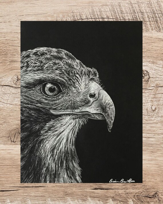 Charcoal Wild Hawk Black and White Art Animal Gift Art Print - Etsy