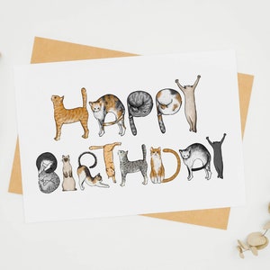 Cartes de joyeux anniversaire chat - Cartes de voeux drôles de chat Lol - Cadeau parfait pour femme et chat - Cartes d'anniversaire alphabet chat-GC001