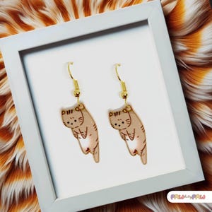 Brown Tabby Cat Dangle Earrings with 18k Gold Plated Hook, Kawaii Cat Jewelry for Pet Lovers, Cute Animal-Themed Gift for Teens-ERA-A001-4