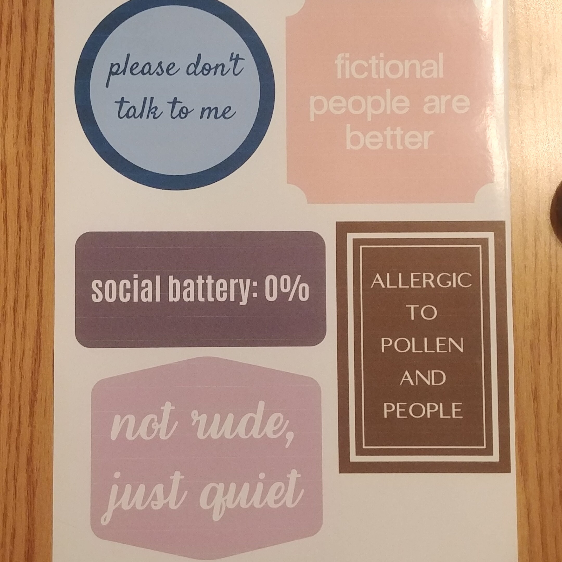 Large Sticker Sheet with Introvert Messages - Includes 5 Jumbo Stickers - For Water Bottle Laptop Notebook - Colorful - Shipped to You