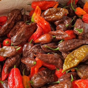 Fresh Ghost Peppers (Bhut Jolokia) Fresh Pods - FREE Priority Mail Shipping