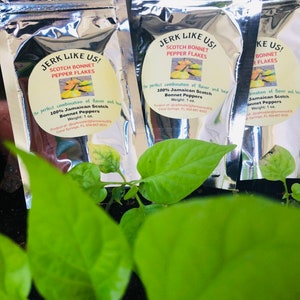 Jamaican Scotch Bonnet Pepper Flakes 8 oz.- 100% PURE