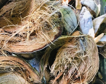 PURE Coconut Husk Fiber, Coconut Coir Organic & Unprocessed