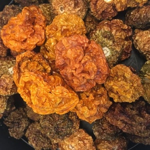 Dried Jamaican Scotch Bonnet Peppers: Spicy Flavor, Multiple Colors - 1 oz Packet